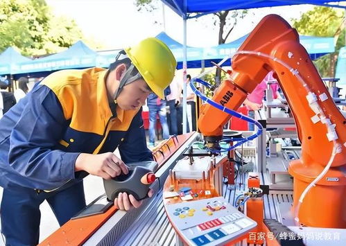 卷烟厂成香饽饽，名校毕业生当流水线工人 教育投资的反思与未来